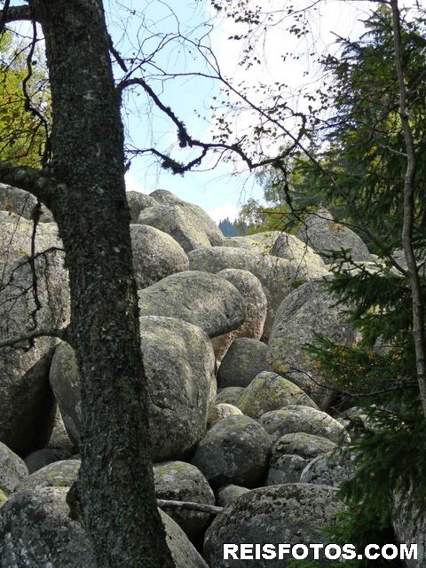 Stenen rivier op de Vitosha berg
