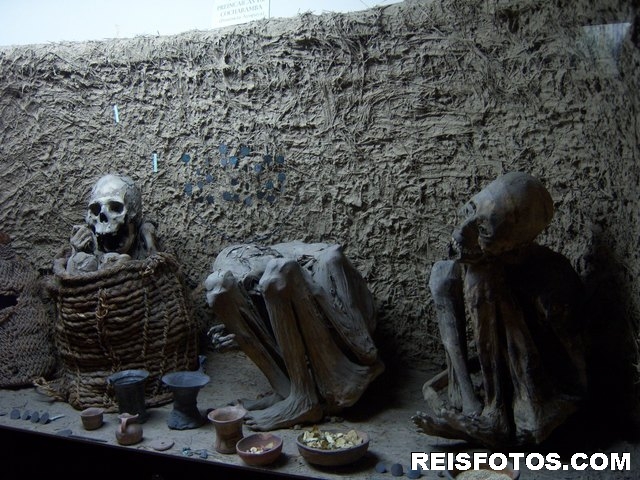 Inca mummies