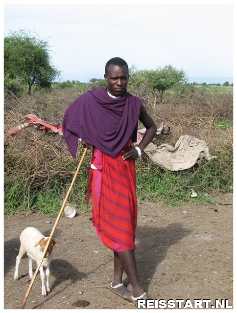 masai en vee